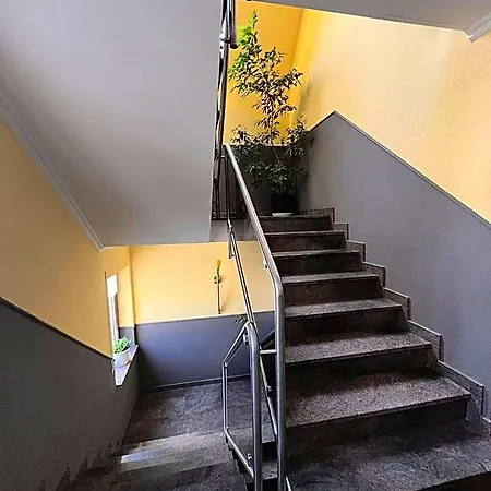 ريبشتوك